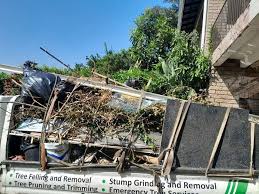 Best Recycling Services for Junk  in Newport, NC